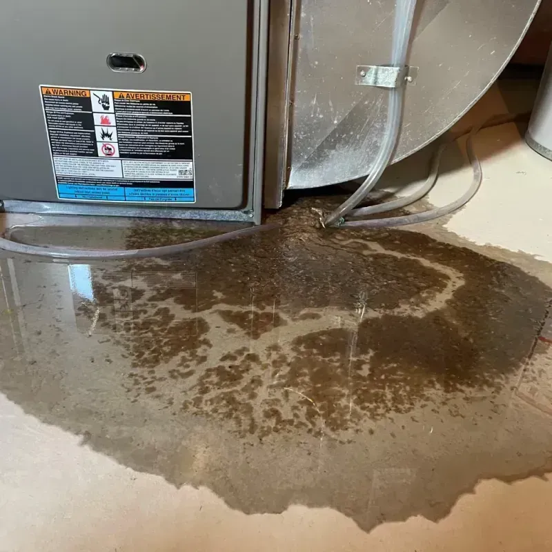 Appliance Leak Cleanup in Merkel, TX